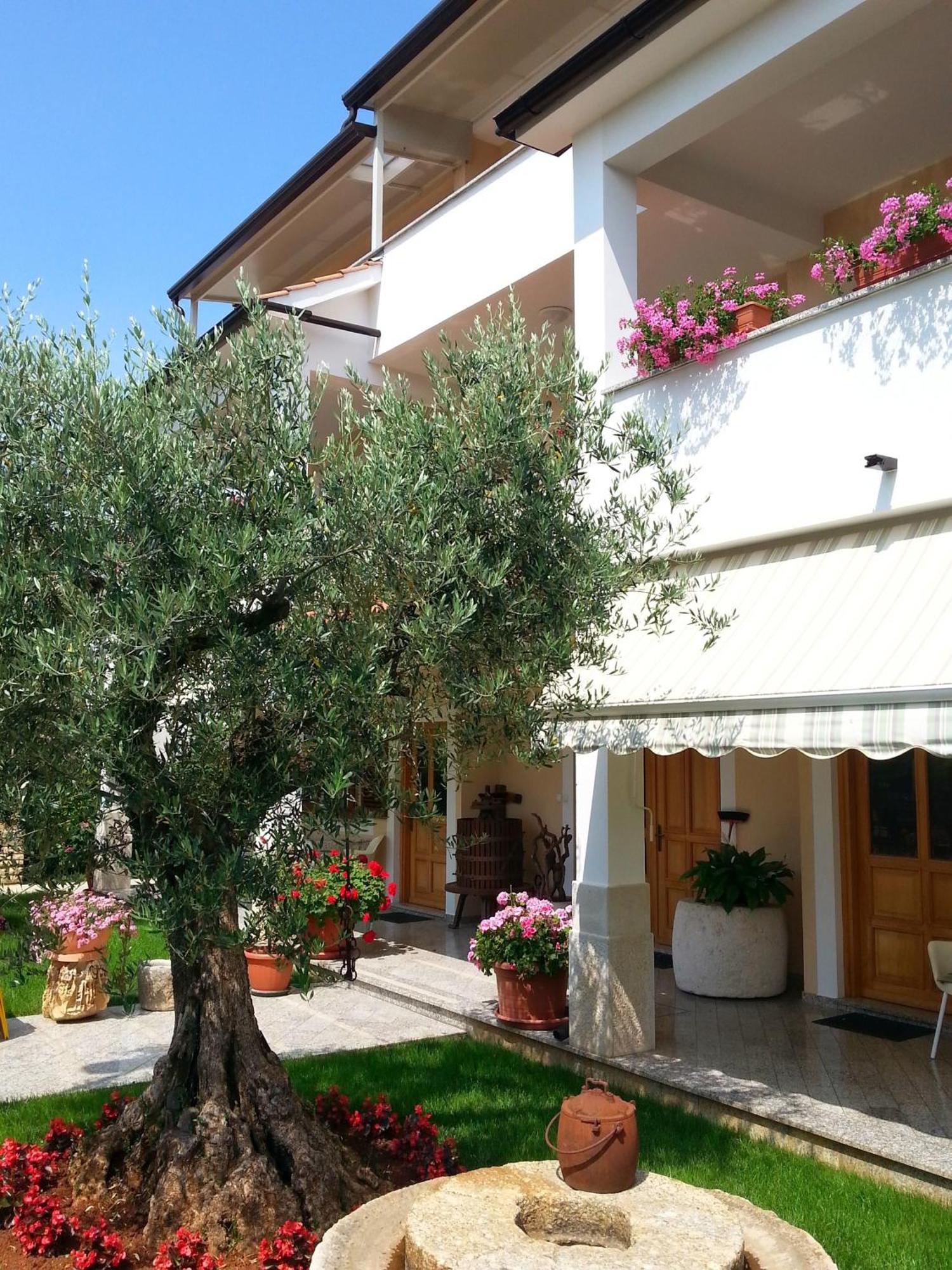 Ulika Rooms & Apartments Poreč Exterior foto